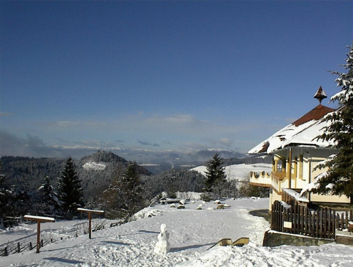 Biolandhaus Arche Eberstein Kültér fotó